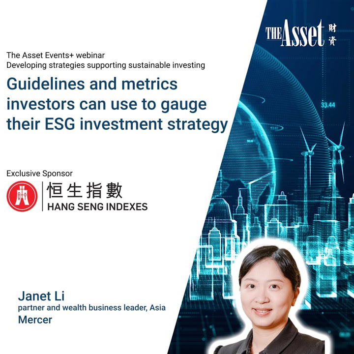 Guidelines and metrics investors can use to gauge their ESG investment strategy