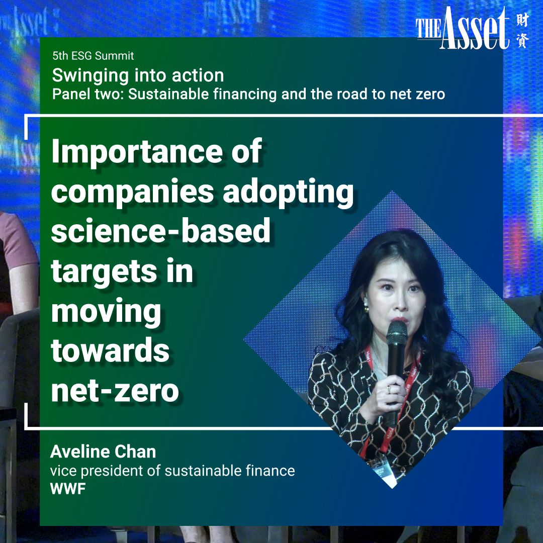 Importance of companies adopting science-based targets in moving towards net-zero