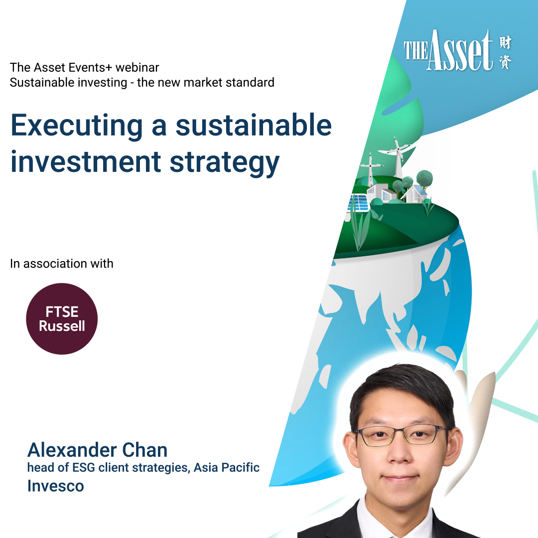 Executing a sustainable investment strategy