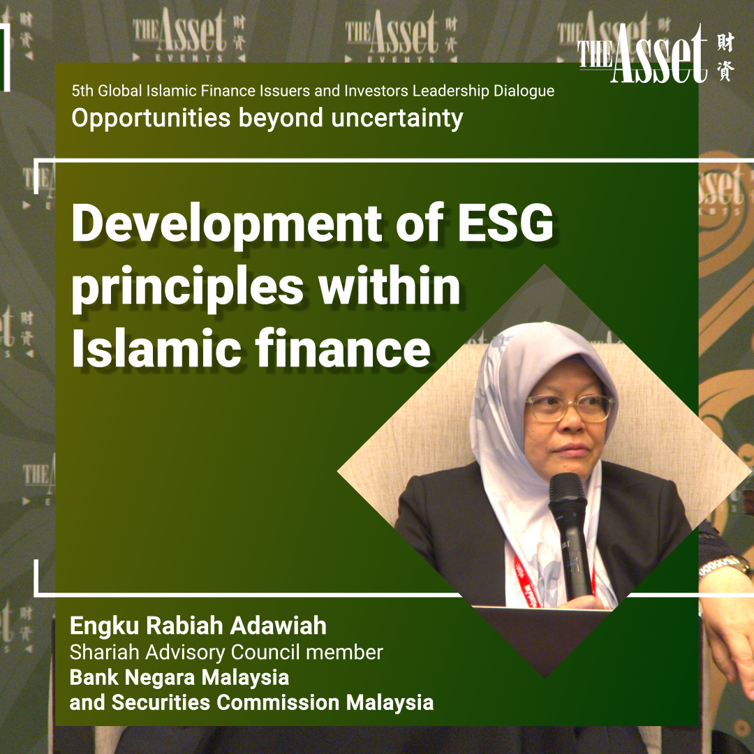 Development of ESG principles within Islamic finance