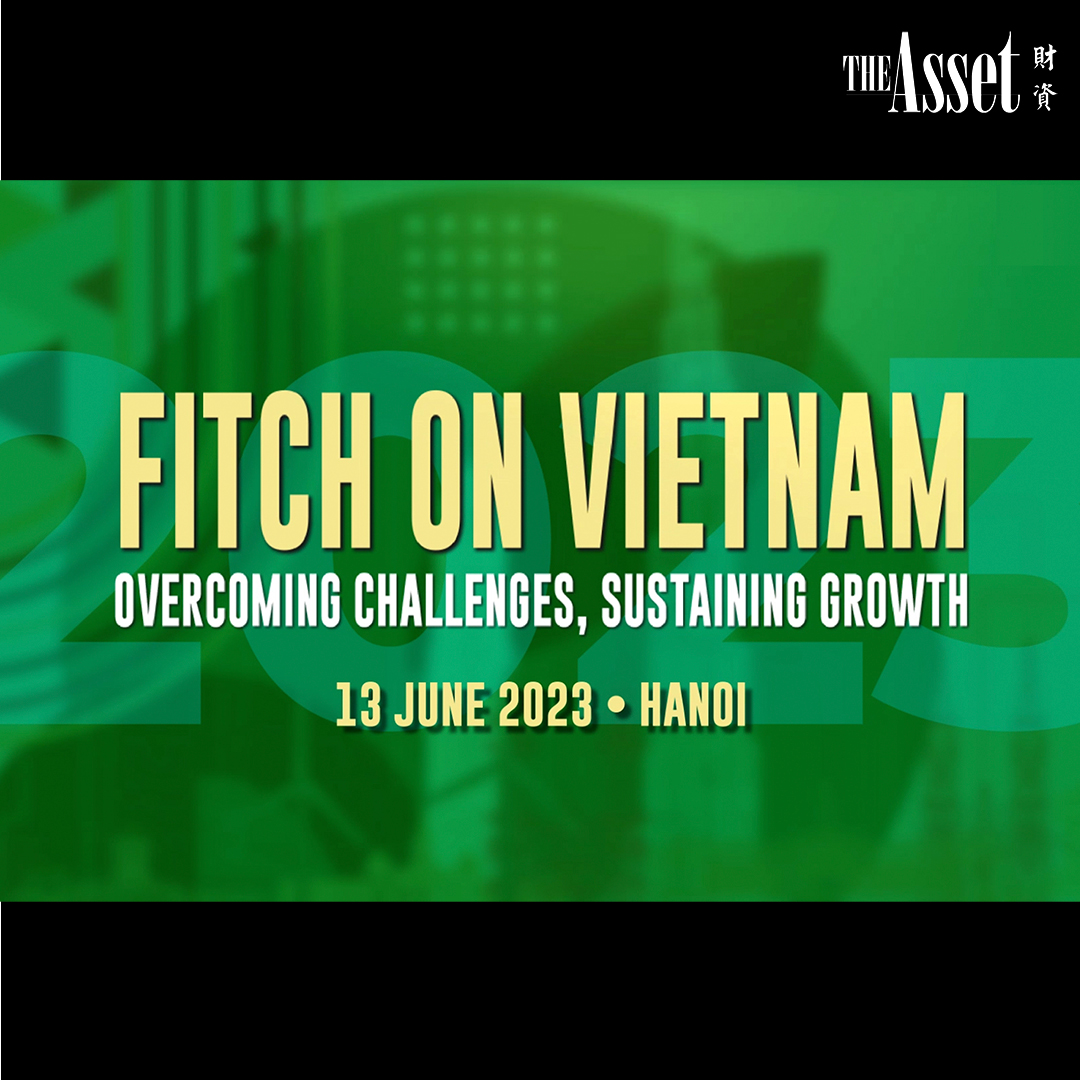 Fitch on Vietnam: Overcoming challenges, sustaining growth: Highlights