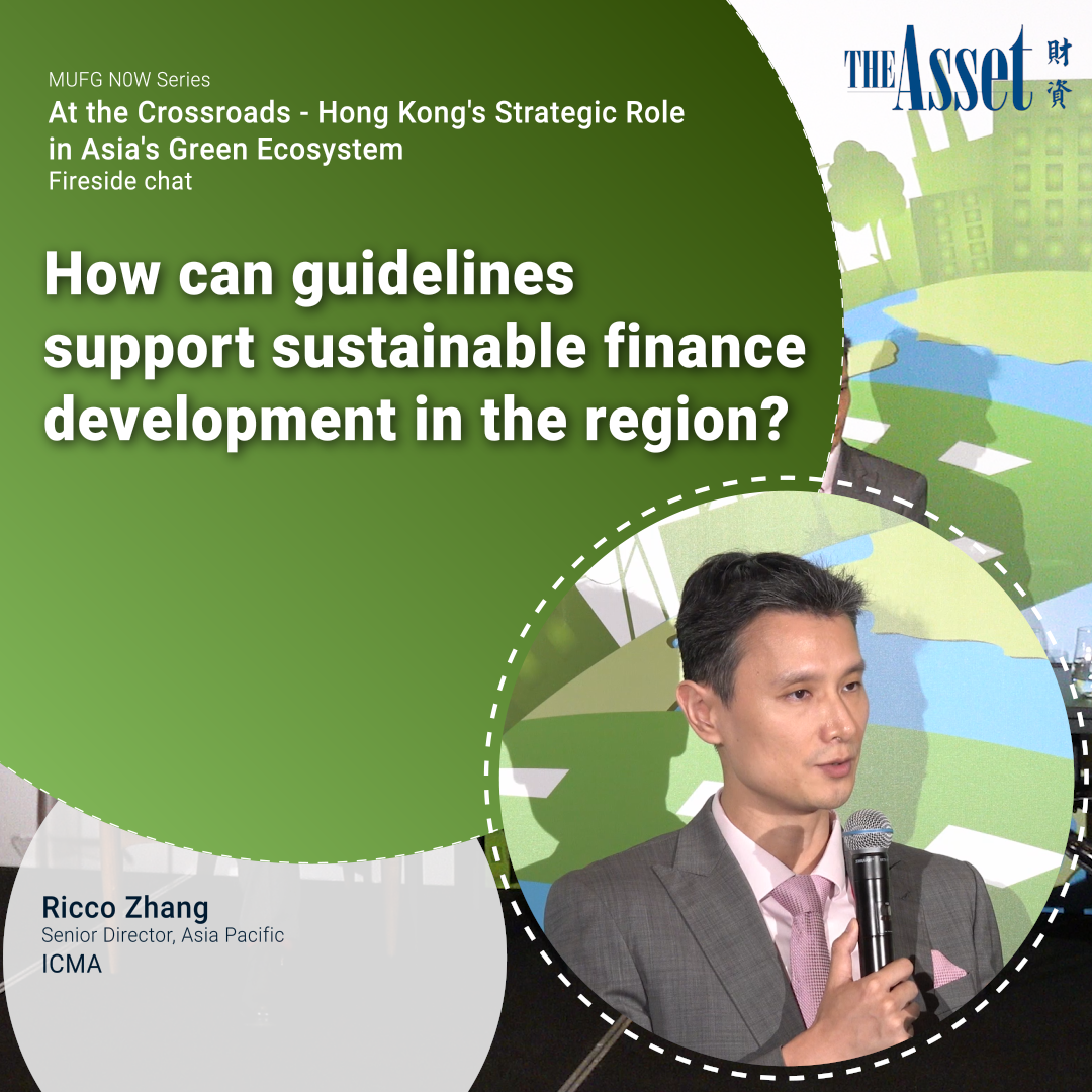 How can guidelines support sustainable finance development in the region?