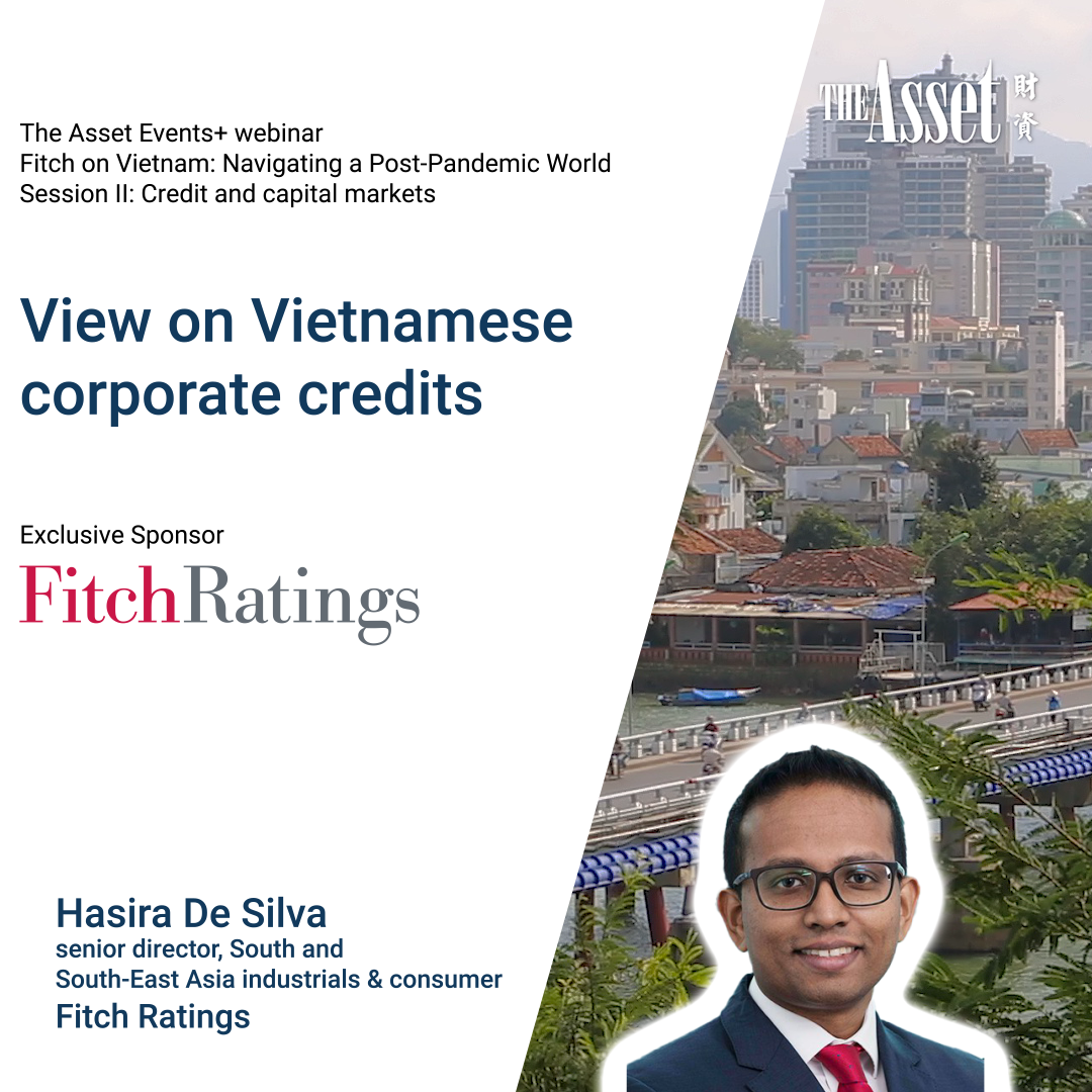 View on Vietnamese corporate credits