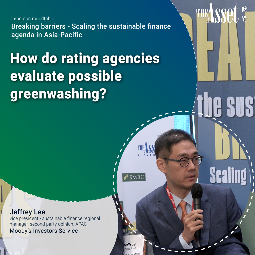 How do rating agencies evaluate possible greenwashing?